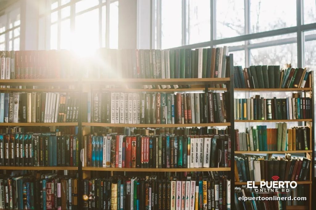 Estanterías llenas de libros en una biblioteca pública iluminada por el sol de la mañana.